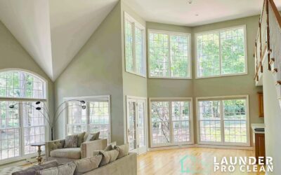 Why Clean Windows Meant More to Me Than I Expected(A New Mom’s Experience in McHenry County Illinois)